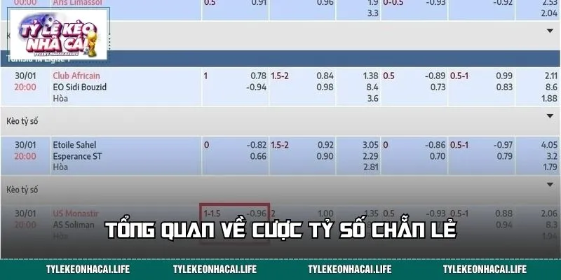 Tổng quan về cược tỷ số chẵn lẻ